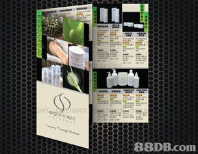 萤火虫制作公司 多媒体设计服务引领创意未来